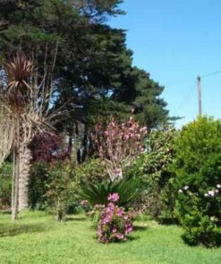 Alternative view of Casa - Chalet en Venta en Sierra de los Padres