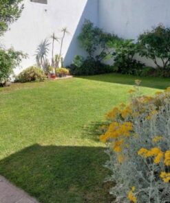 Casa - Chalet en Venta en San Juan
