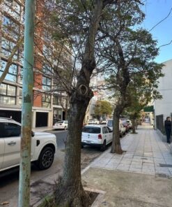 Alternative view of Departamento en Alquiler en Mar del Plata