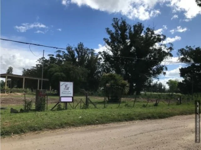 Campos y chacras en Alquiler — ruta 226 3100