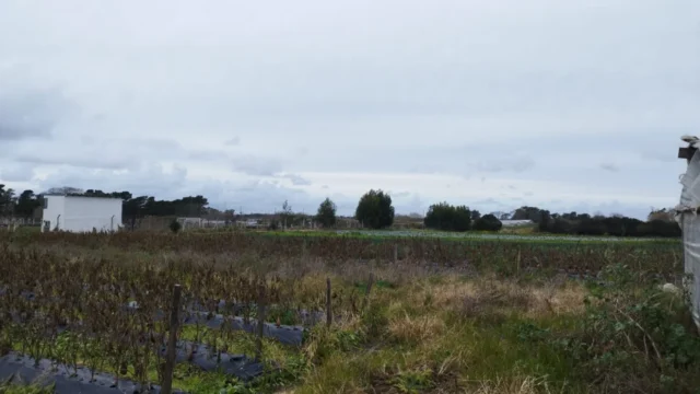 Casas Quinta en Venta — Esteros de Ibera sin numeración Ruta 88 y Km 8,5