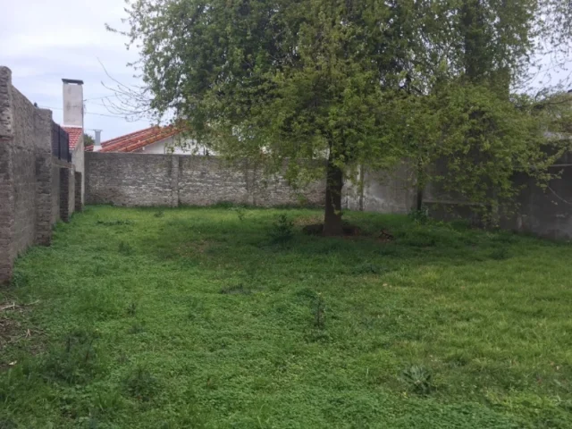 Lotes y terrenos en Venta — Dorrego 32