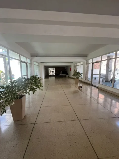 Departamentos, pisos y semipisos en Venta — Falucho 1350