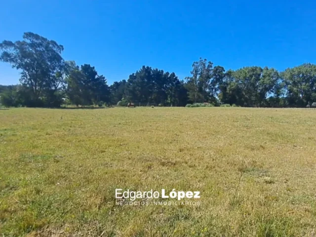 Lotes y terrenos en Venta — 36W4+J5 La Gloria de la Peregrina