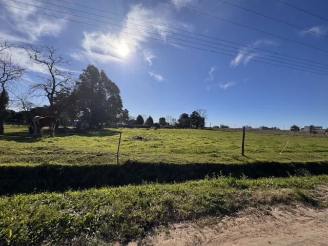Lotes y terrenos en Venta — 4P6C+4Q