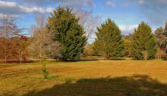 Lotes y terrenos en Venta — Barrio Privado Pinares de Santa Clara