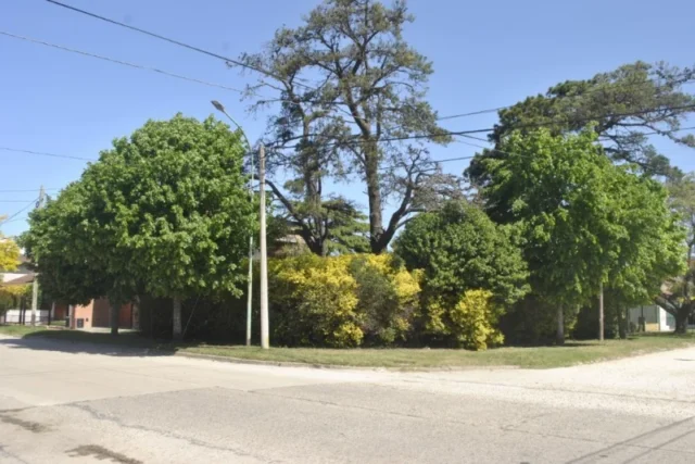 Lotes y terrenos en Venta — Strobel y Andrade