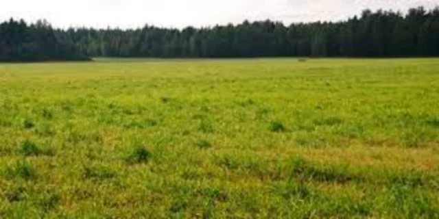 Lotes y terrenos en Venta — VUELTA DE OBLIGADO