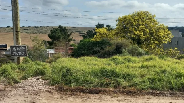 Lotes y terrenos en Venta — Natividad