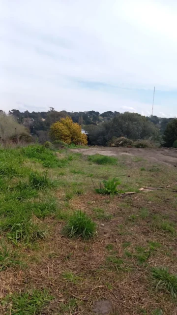 Lotes y terrenos en Venta — Claudia y Gregorio