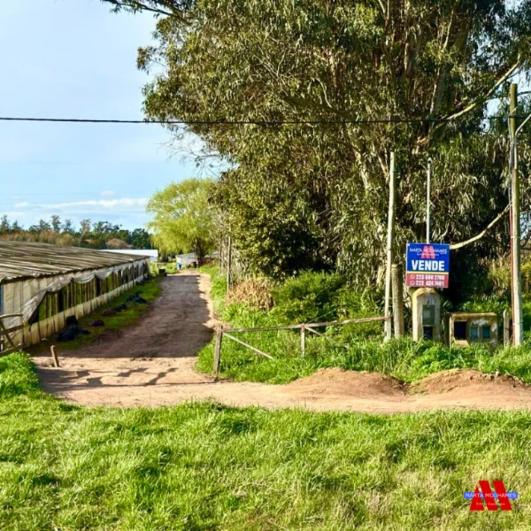 Campos y chacras en Venta — 226