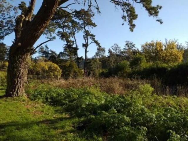 Lotes y terrenos en Venta — 455C+8F