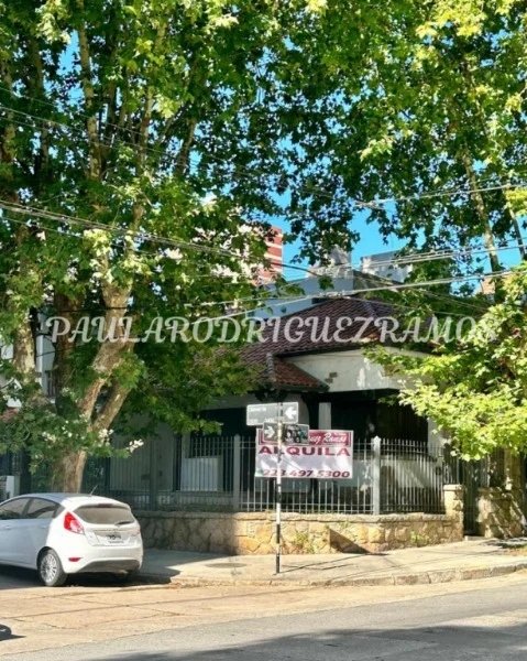 Oficinas en Alquiler — OLAVARRIA