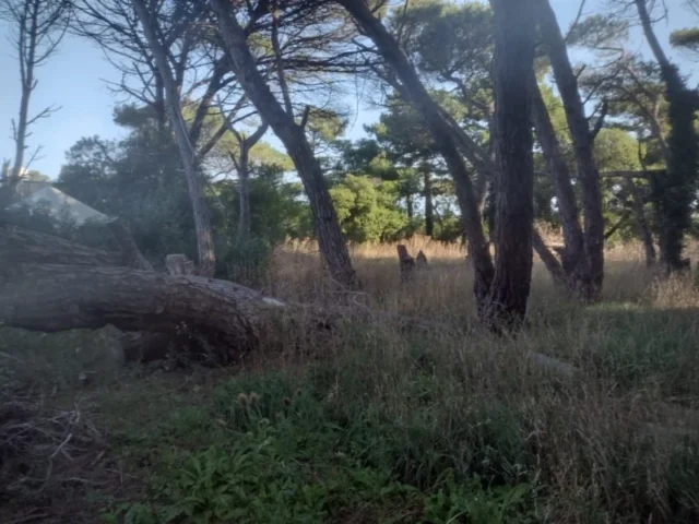 Lotes y terrenos en Venta — calle B