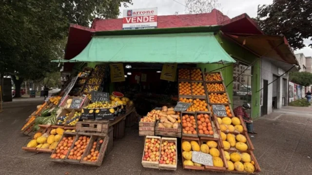 Locales en Venta — Chile y Luro